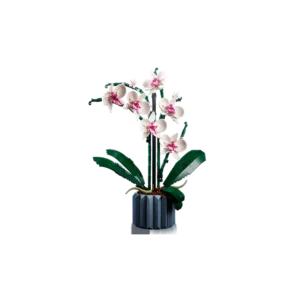 Botanicals 10311 L’orchidée — où acheter au meilleur tarif sur Planet-Brick (vue détail 2)