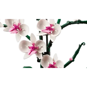 Botanicals 10311 L’orchidée — comparez les prix sur Planet-Brick (vue détail 4)