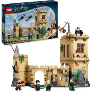 Harry Potter™ 76447 Le château de Poudlard : les cours de vol — meilleur prix sur Planet-Brick (visuel principal)