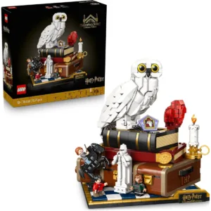 L’école des sorciers – Édition collector