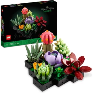 Les succulentes