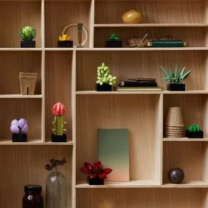 LEGO 10309 Les succulentes — comparatif marchands sur Planet-Brick (vue détail 7)