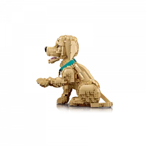 LEGO 11384 Le chiot Golden Retriever — bons plans et promos sur Planet-Brick (vue détail 3)