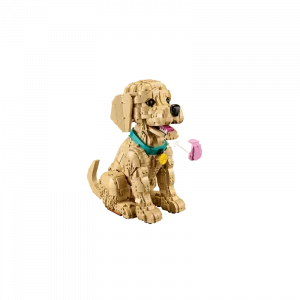LEGO 11384 Le chiot Golden Retriever — comparez les prix sur Planet-Brick (vue détail 4)