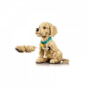 LEGO 11384 Le chiot Golden Retriever — meilleure offre du moment sur Planet-Brick (vue détail 5)