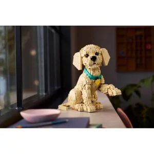 LEGO 11384 Le chiot Golden Retriever — achat malin sur Planet-Brick (vue détail 8)
