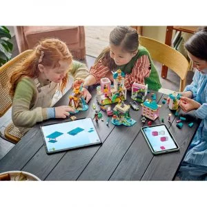 LEGO 43267 Le château des princesses et les animaux royaux — meilleur prix sur Planet-Brick (vue détail 9)