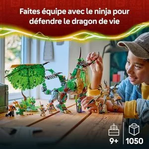 LEGO 71859 Le dragon de vie — meilleure offre du moment sur Planet-Brick (vue détail 5)