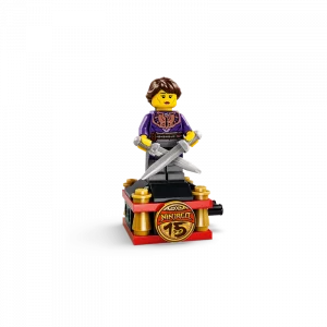 LEGO 71867 Le chargeur Ninja X-1 : 15e anniversaire — meilleure offre du moment sur Planet-Brick (vue détail 5)