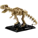 Dinosaures & Fossiles