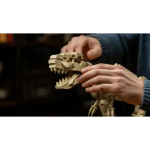 nifeliz NF10343 T.REX FOSSILS — comparatif marchands sur Planet-Brick (vue détail 7)