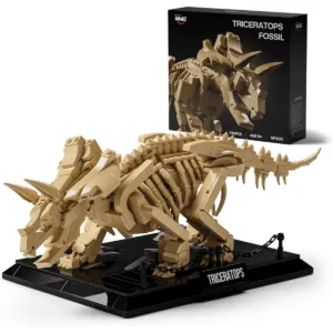 Triceratops Fossil