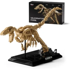 Velociraptor Fossil