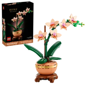 L’orchidée miniature