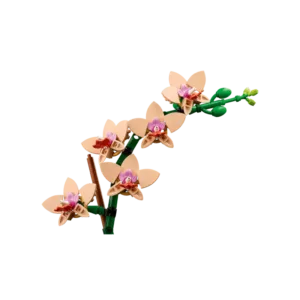 LEGO 10343 L’orchidée miniature — meilleure offre du moment sur Planet-Brick (vue détail 5)