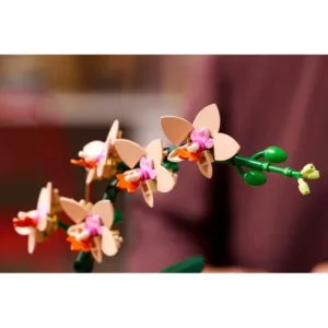 LEGO 10343 L’orchidée miniature — comparatif marchands sur Planet-Brick (vue détail 7)