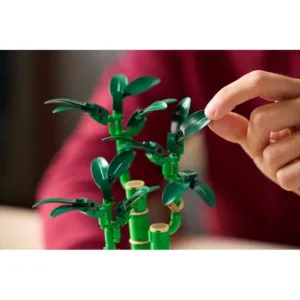 LEGO 10344 Le bambou de la chance — comparatif marchands sur Planet-Brick (vue détail 7)