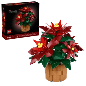 L’étoile de Noël