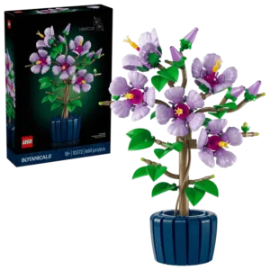 Hibiscus