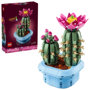 Cactus fleuri