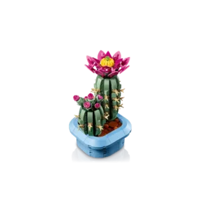 LEGO 11509 Cactus fleuri — meilleure offre du moment sur Planet-Brick (vue détail 5)