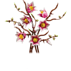 LEGO 11510 Branches de magnolia — comparateur de prix sur Planet-Brick (vue détail 1)