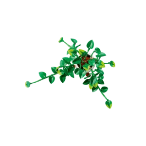 LEGO 11512 Pothos doré tombant — où acheter au meilleur tarif sur Planet-Brick (vue détail 2)