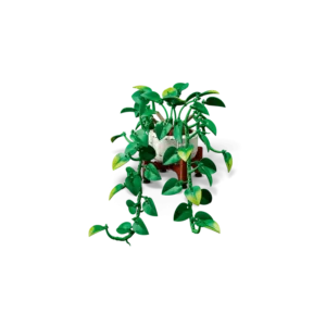 LEGO 11512 Pothos doré tombant — bons plans et promos sur Planet-Brick (vue détail 3)