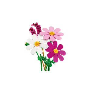 LEGO 11514 Les cosmos — bons plans et promos sur Planet-Brick (vue détail 3)