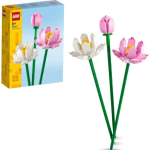 Les fleurs de lotus