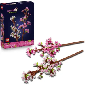 Les fleurs de cerisier