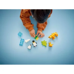 LEGO 10442 Familles d’animaux sauvages : pingouins et lions — prix le plus bas sur Planet-Brick (vue détail 6)