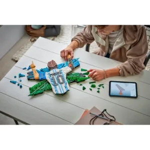 LEGO 43018 Lionel Messi – La célébration — bons plans et promos sur Planet-Brick (vue détail 3)