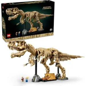 Les fossiles de dinosaures : le Tyrannosaurus rex