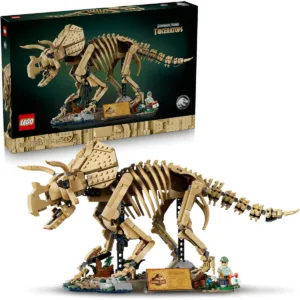 Les fossiles de dinosaure : le tricératops