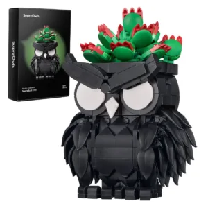 Hibou à la succulente
